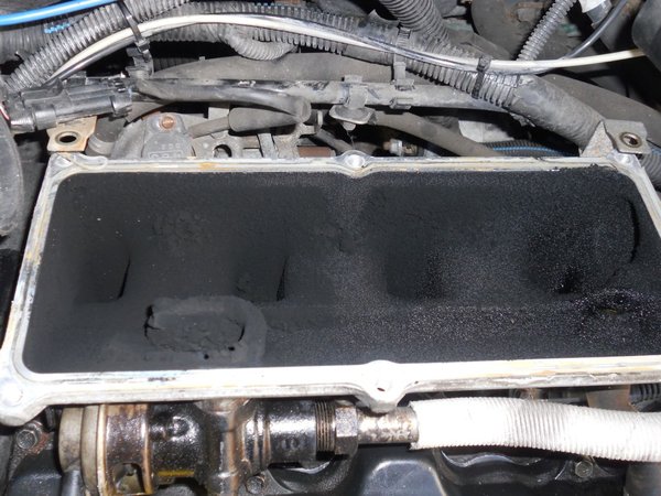 DSCN4680.jpg