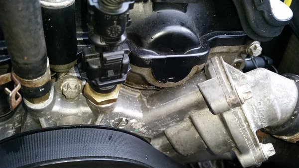 20160416_075230.jpg