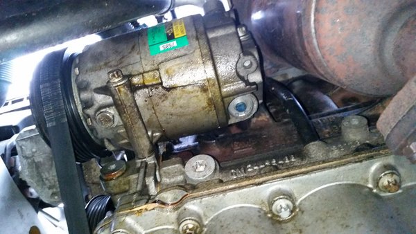 20160416_075728.jpg