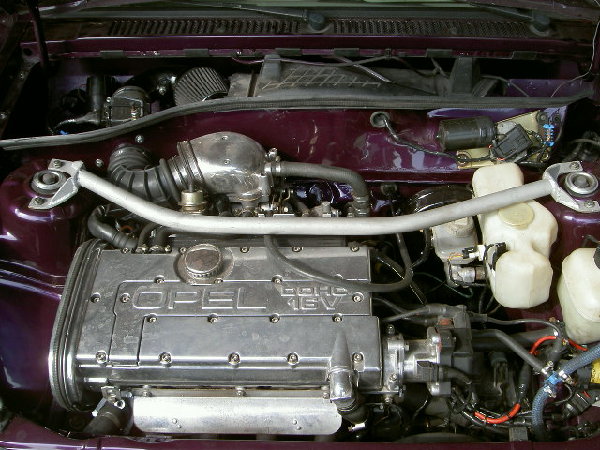 A U T O 011.jpg