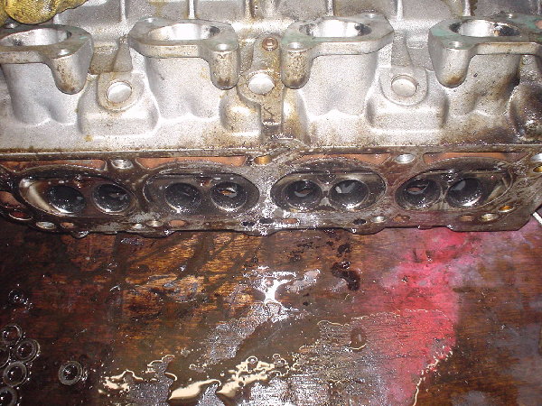 DSC01074.JPG