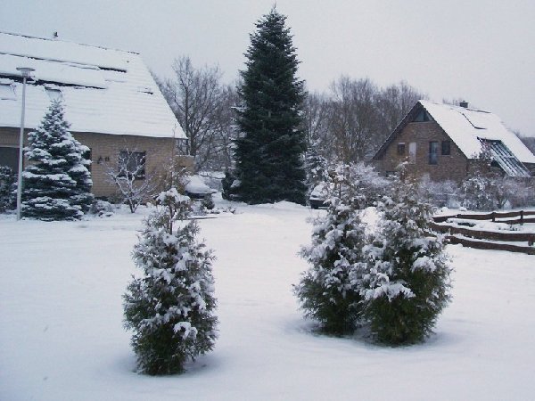 2009-12-31.jpg