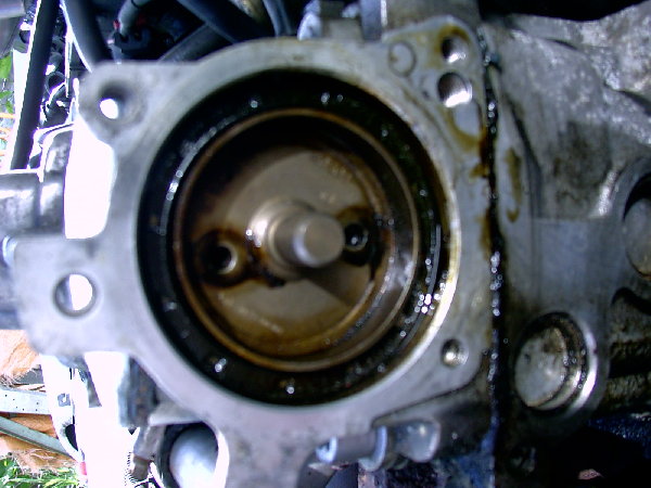 PDR_0005.JPG