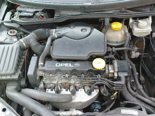 DSC00821.JPG