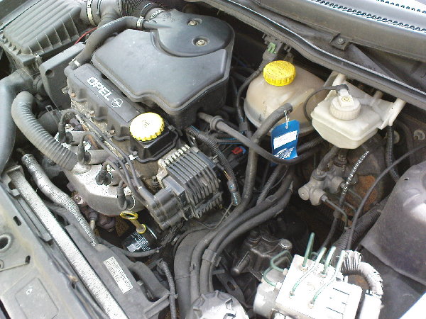 DSC00822.JPG