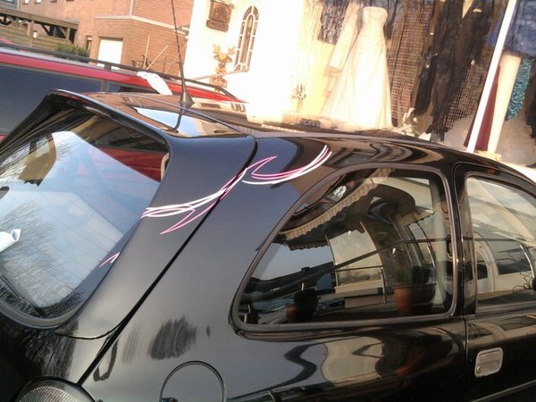 mini-Foto1176.jpg